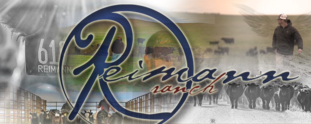 Reimann Ranches | Welcome!